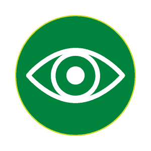 Eye icon