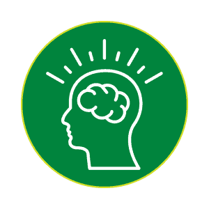 Brain icon